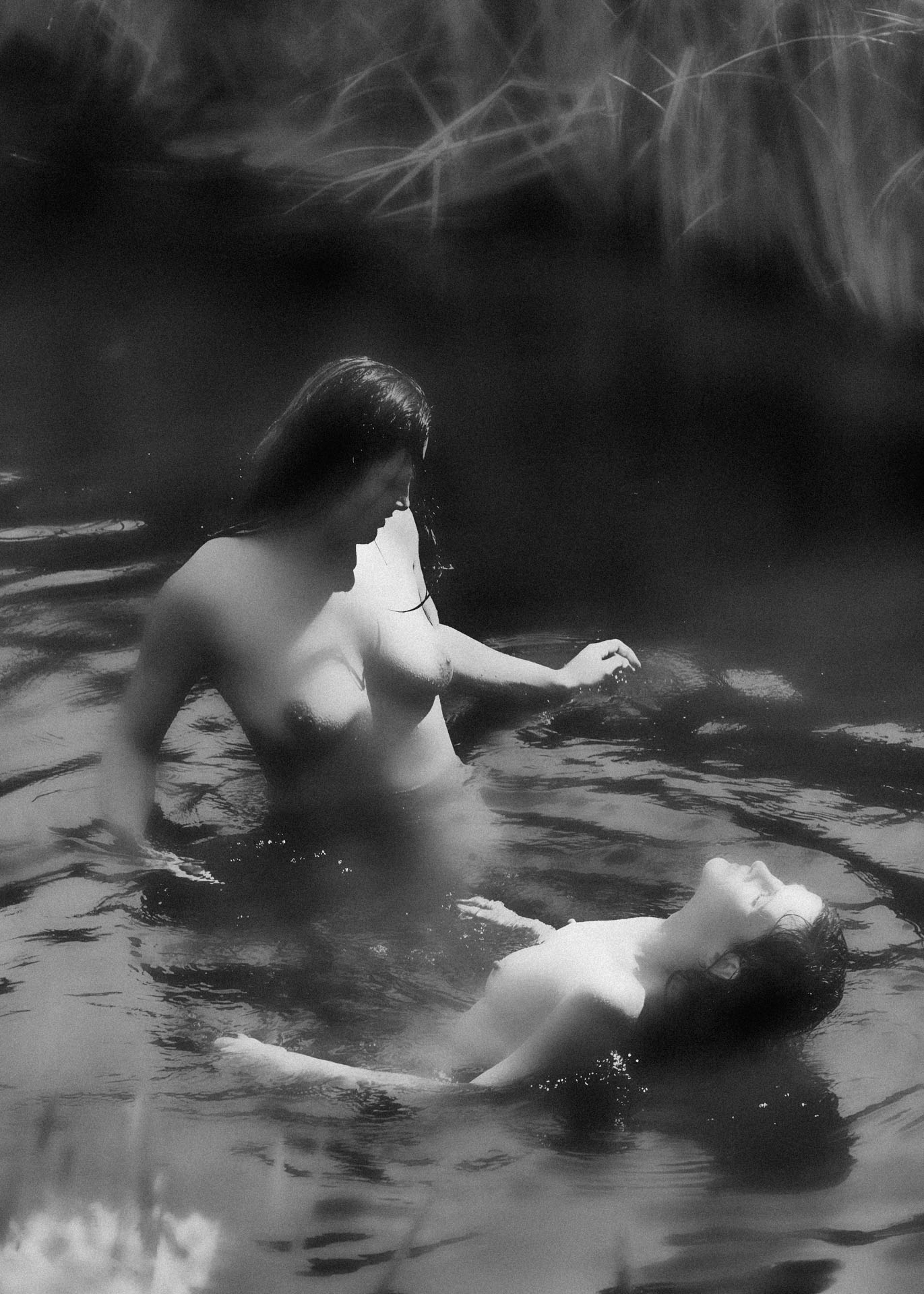 Garden of the Elements I.