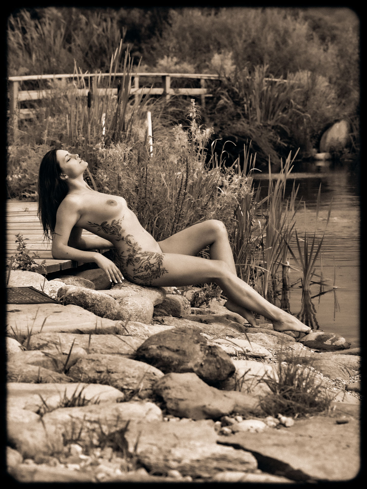 Garden of the Elements II.