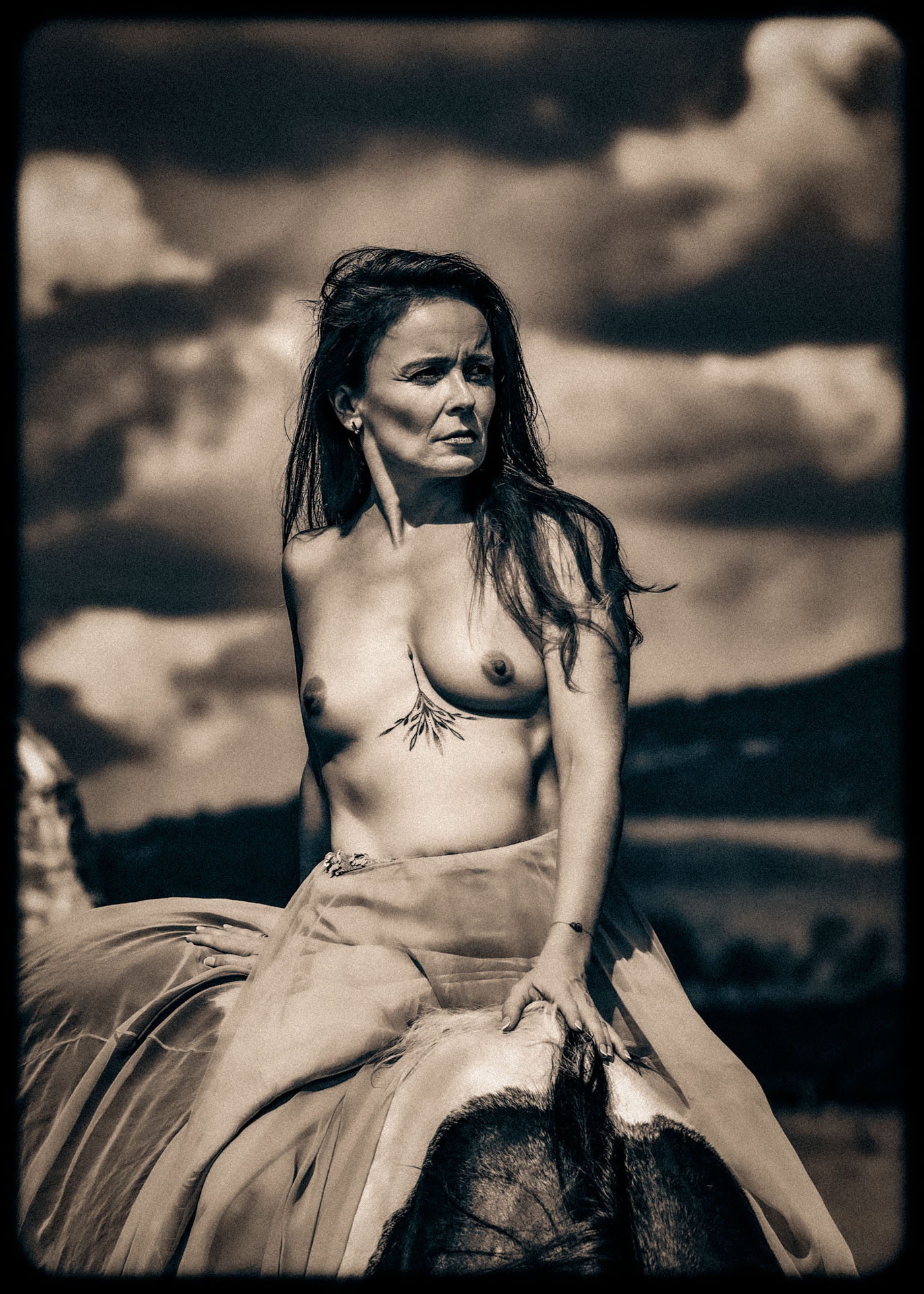 Garden of the Elements III.