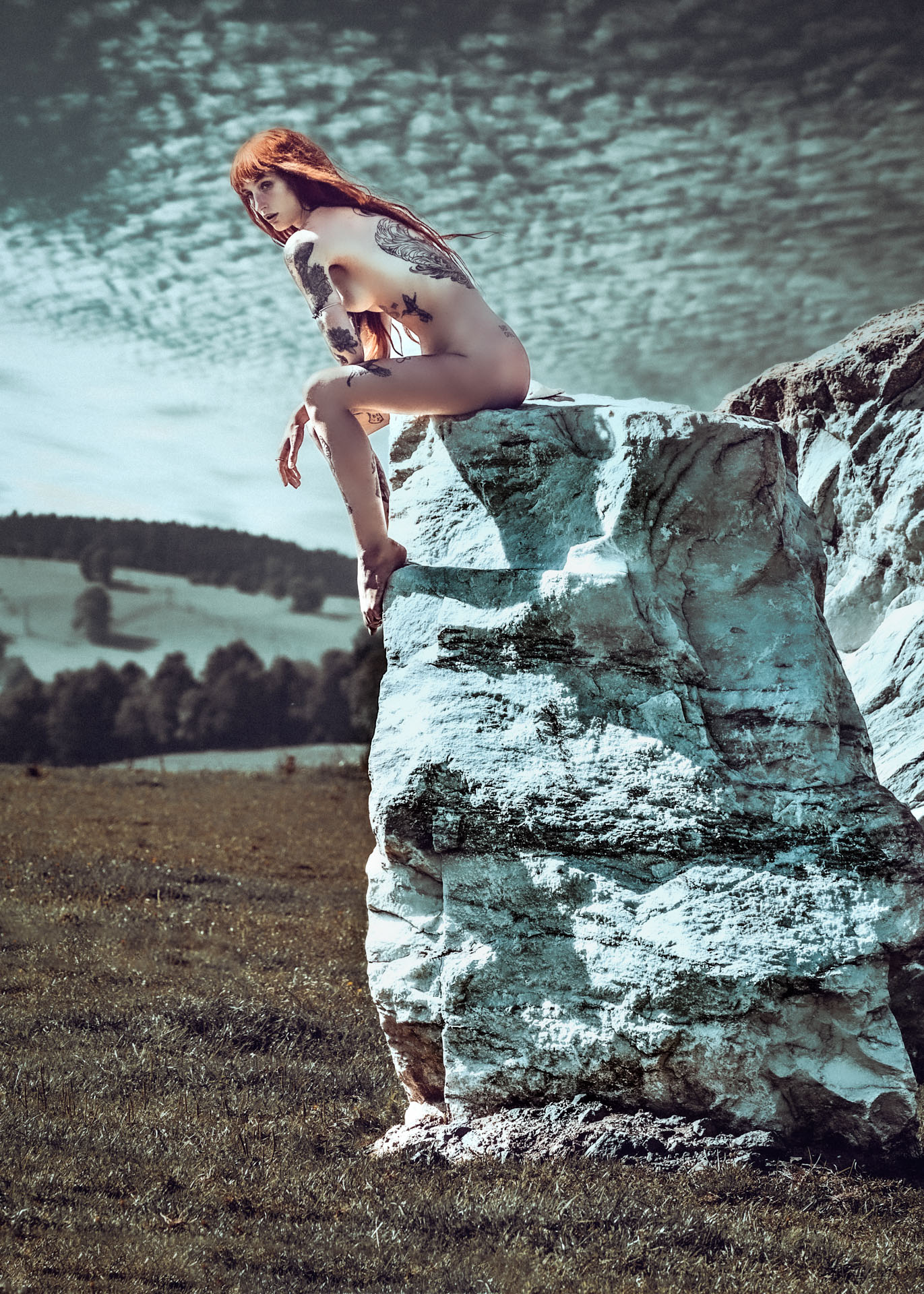 Garden of the Elements IV.